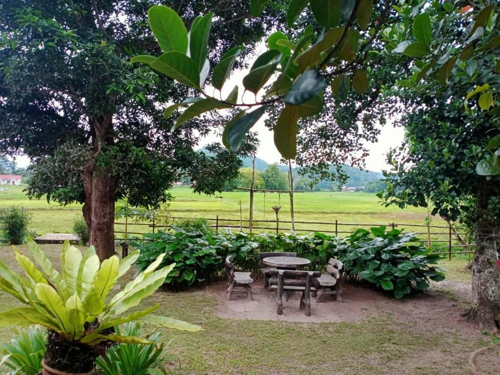 Kampung Tok Lembut Vacation Home ปันไตเจอนัง ภายนอก รูปภาพ