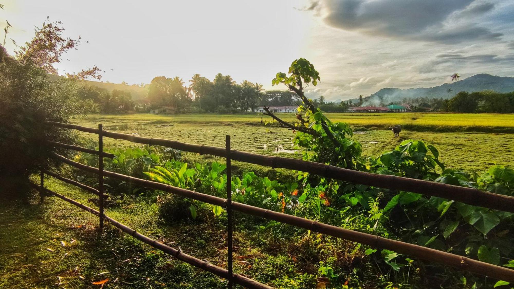 Kampung Tok Lembut Vacation Home ปันไตเจอนัง ภายนอก รูปภาพ